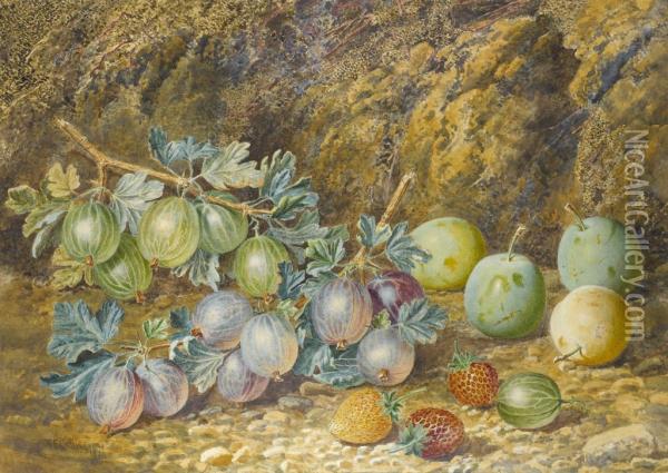 Still Life With Plums Gooseberries And Strawberries Oil Painting - Thomas Collier