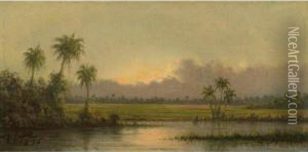 Palm Trees, Florida Oil Painting - Martin Johnson Heade