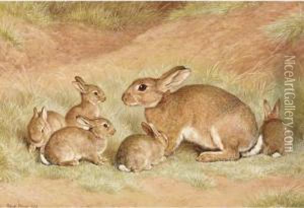 A Rabbit With Her Young Oil Painting - Frank Paton
