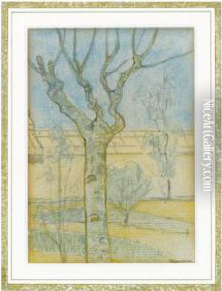 Birch Tree Oil Painting - Theodorus Van Hoytema