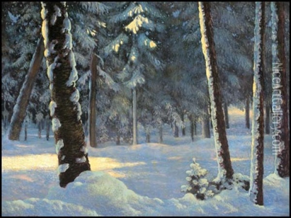 Sunlit Trees In Winter Oil Painting - Francis Hans Johnston