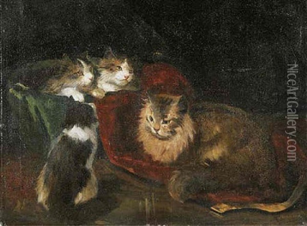 Kittens Oil Painting - Joseph Kleitsch
