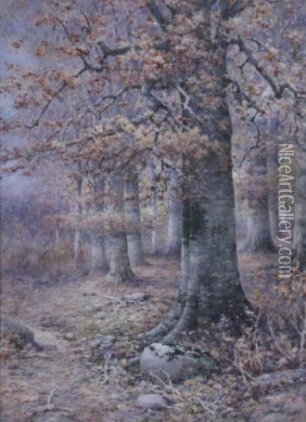 Moss Covered Rock Oil Painting - John Elwood Bundy