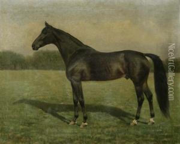 Pferdeportrat In Weiter Wiesenlandschaft Oil Painting - C. Bauer
