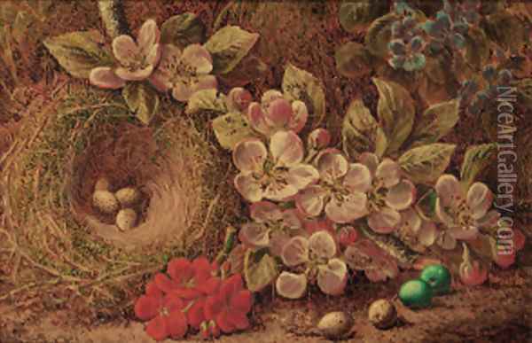Apple blossom and a bird's nest with eggs Oil Painting - Oliver Clare