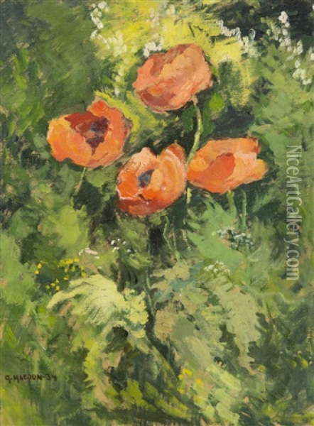 Wild Poppies Oil Painting - Gustav Macoun