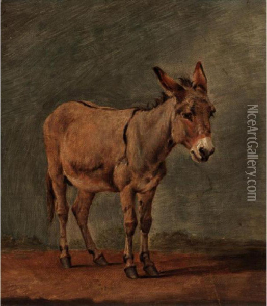 The Donkey Oil Painting - Eugene Joseph Verboeckhoven