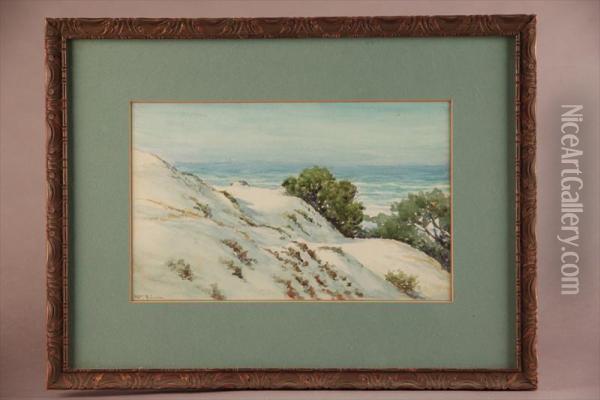 California Sand Dunes Oil Painting - William Adam