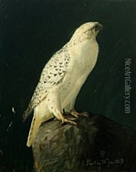 Icelandic Falcon Oil Painting - Niels Peter Rasmussen