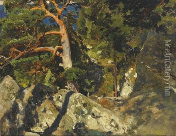 Kiefer In Den Felsen Oil Painting - Eugen Felix Prosper Bracht
