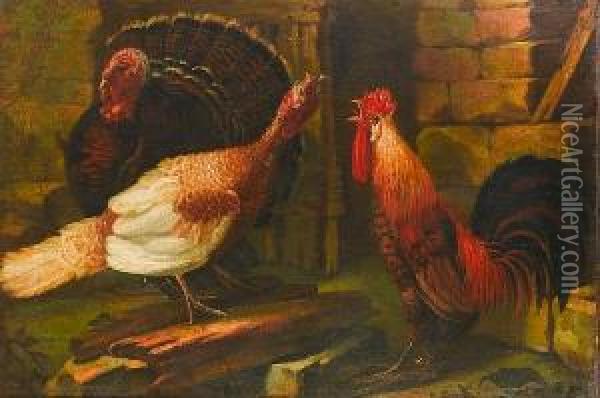 Turkeys And A Cockerel In A Farmyard Oil Painting - Angelo Maria Crivelli, Il Crivellone