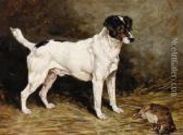 A Jack Russell Terrier In A Barn Oil Painting - John Emms