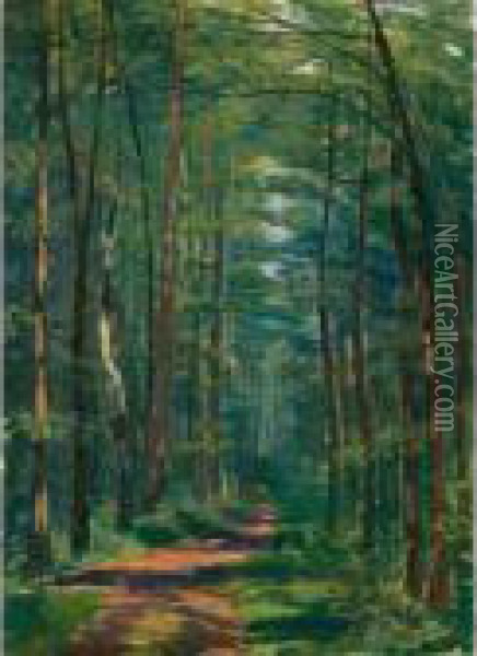 Wald Bei Oberlunkhofen Oil Painting - Sigismund Righini