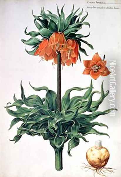 Fritillaria imperialis Oil Painting - Pieter van Kouwenhoorn