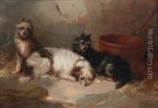 Three Terriers In An Interior Oil Painting - George Armfield