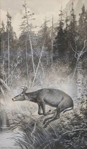 Deer At Dingman's Ferry, Pike County, Pa Oil Painting - Hermann Gustave Simon
