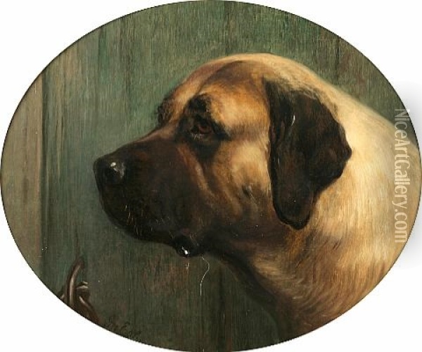 Portrait Of A Mastif Oil Painting - George Earl