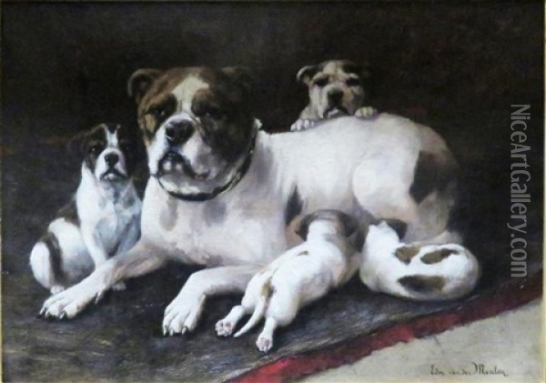 A Bulldog And Her Puppies Oil Painting - Edmond Van Der Meulen