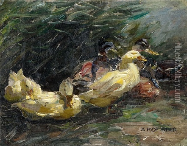 A Study Of Ducks Oil Painting - Alexander Max Koester