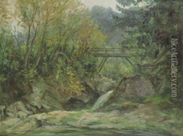 Felspartie Mit Wasserfall Und Brucke Oil Painting - Rudolf Petuel