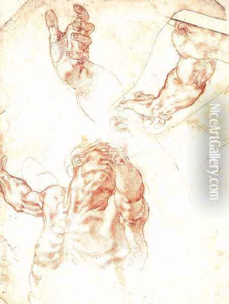 Study for Haman 1511 Oil Painting - Michelangelo Buonarroti