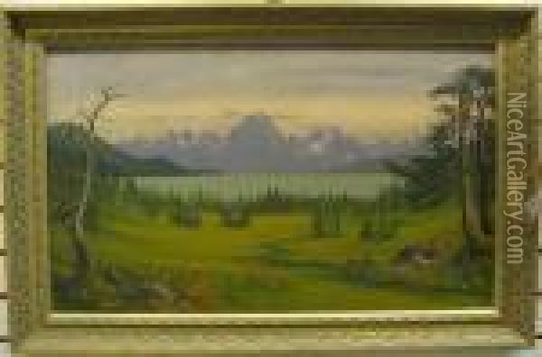 Looking North And Up Latouch Passage Oil Painting - James Everett Stuart