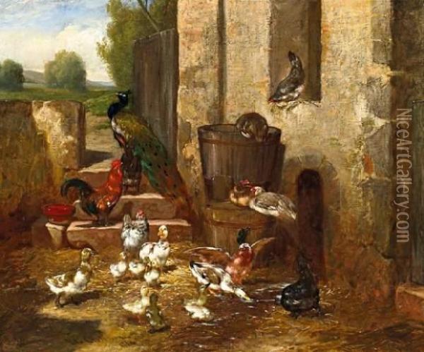 Chickens, Ducks And A Peacock Behind The Stable Oil Painting - Philibert Leon Couturier