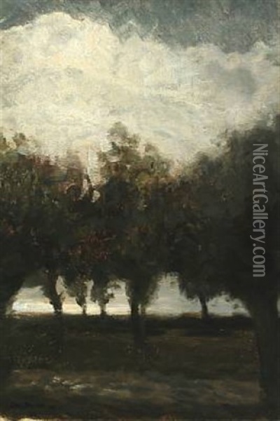 A Landscape Scene With Trees And Clouds In The Sky Oil Painting - Julius Paulsen