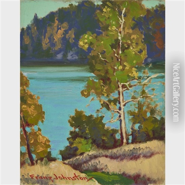 Parry Sound Country Oil Painting - Francis Hans Johnston