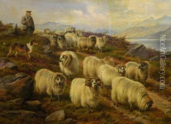 A Highland Shepherd Oil Painting - Charles Jones