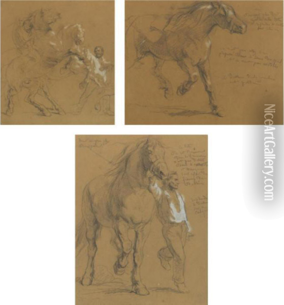 Studies For The Horse Fair Oil Painting - Rosa Bonheur