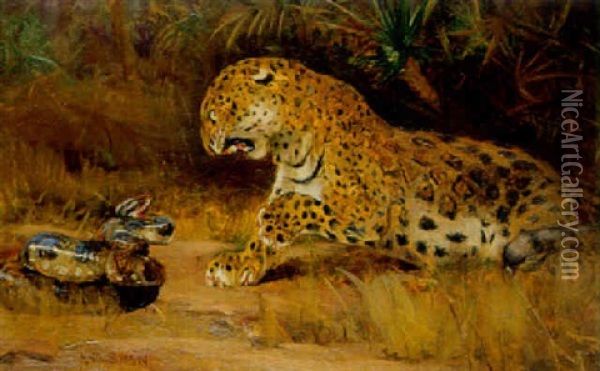 Confrontation Between Leopard And Snake Oil Painting - John Macallan Swan