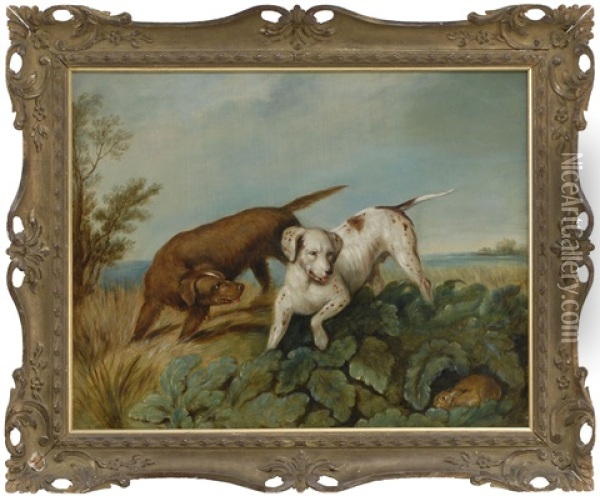 Two Hounds Hunting A Rabbit Oil Painting - Philipp Reinagle