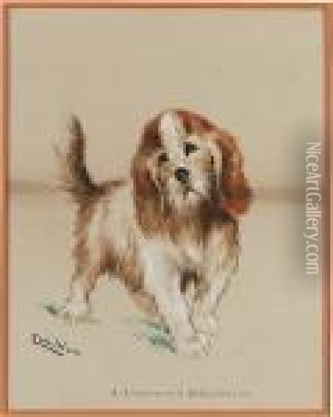 A Rough-haired Bassethound Oil Painting - Louis William Wain