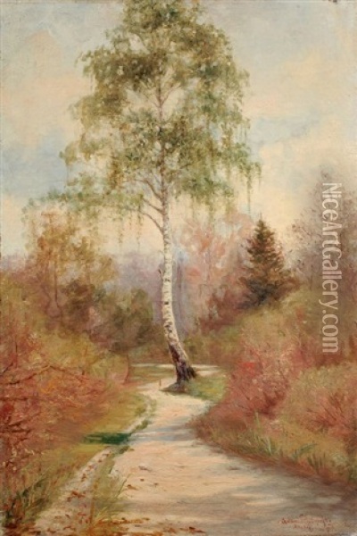 Sonniger Waldweg Mit Birke Oil Painting - Adam Pelcynski