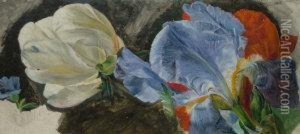Botanical Study Oil Painting - Emily Stannard