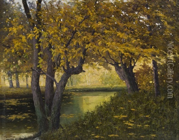 Herbstliche Landschaft Oil Painting - Walter Stoitzner