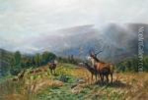 Herd Of Red Deer Oil Painting - Christian Johann Kroner