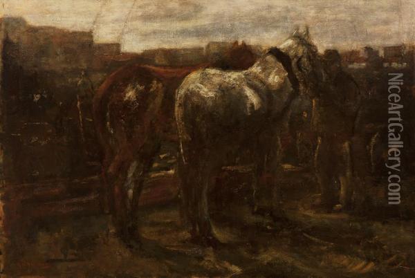 A White And Brown Work Horse Oil Painting - George Hendrik Breitner