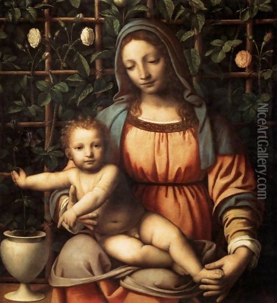 Madonna in the Rose Garden Oil Painting - Bernardino Luini