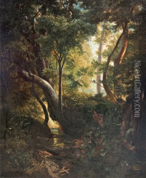Romantic Forest Clearing Oil Painting - Ludwig Willroider