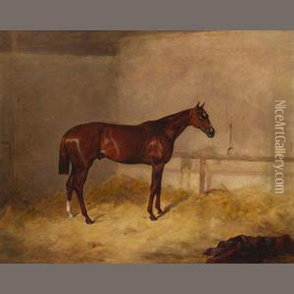 A Bay Hunter In A Barn Oil Painting - Harry Hall