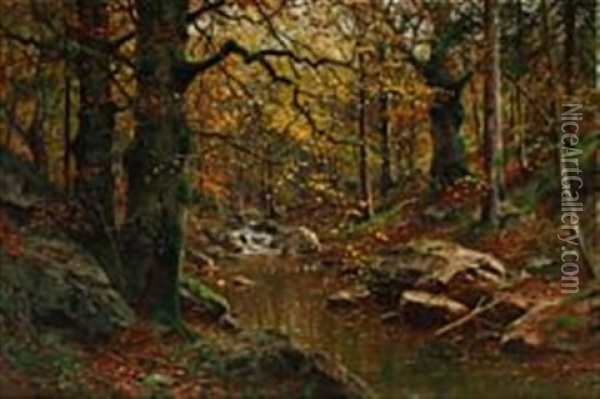 Autumn Forest With A Stream Oil Painting - Walter Moras