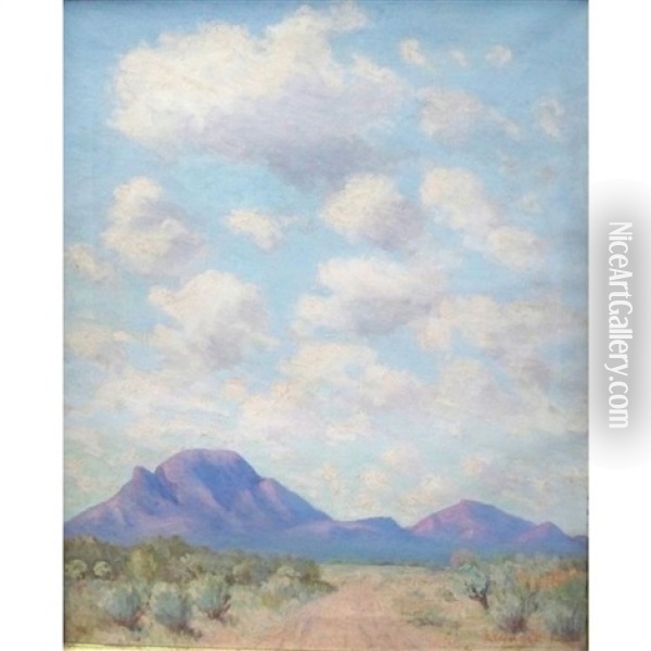 Desert Clouds, Wildcat Mountain Tucson Range Oil Painting - Robert Fletcher Gilder