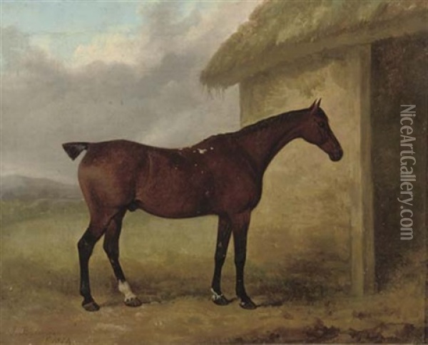 A Chesnut Hunter Outside A Stable Oil Painting - James Barenger the Younger