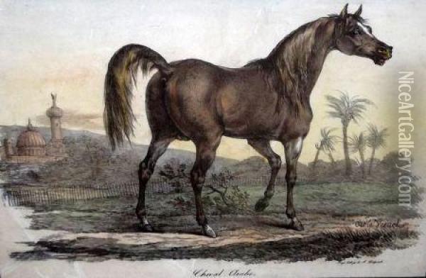 Cheval Arabe Oil Painting - Carle Vernet