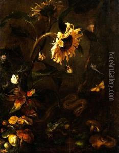 Stilleben Mit Sonnenblume, Schlange,krote, Insekten Und Pilzen Oil Painting - Otto Marseus Snuff. Van Schrieck