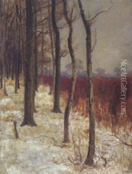 Waldlandschaft Im Winter Oil Painting - Karl Weiss