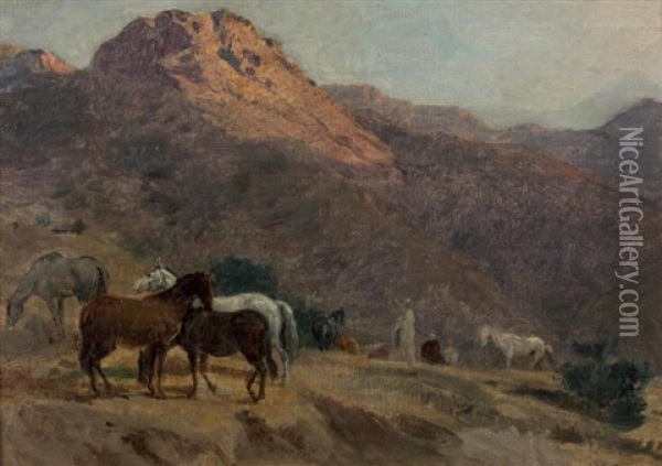 Chevaux Arabes Oil Painting - Gustave Achille Guillaumet