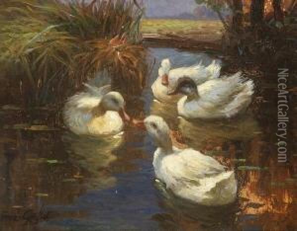 Vier Enten Im Schilf. Oil Painting - Franz Grassel